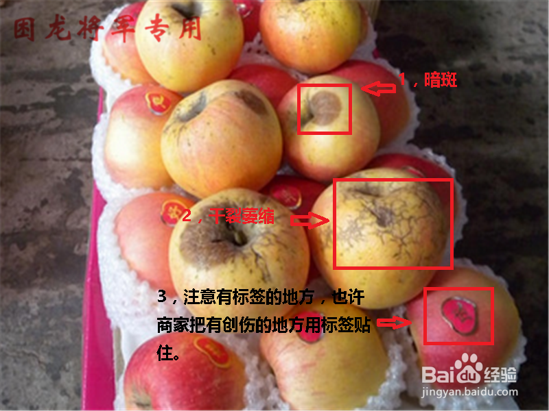 教你怎么挑选好苹果