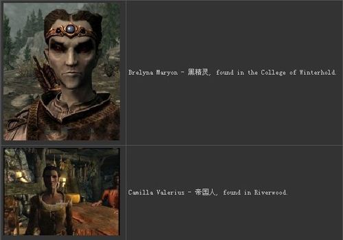 《上古卷轴5:天际》结婚系统攻略