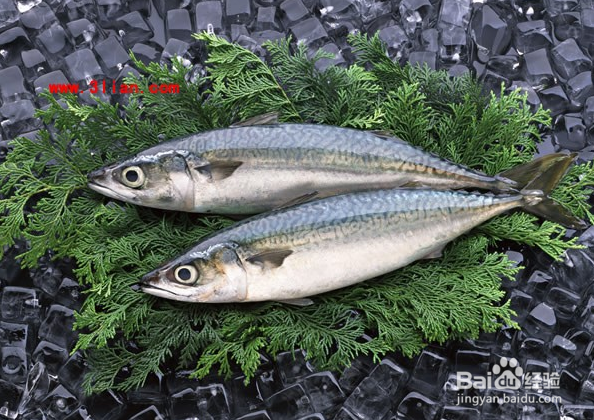 男性必知的黄金食谱