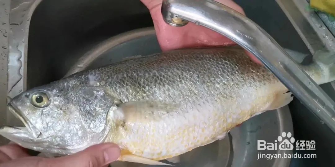 “红烧黄花鱼”怎么做？