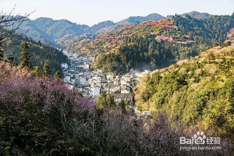 卖花渔村游玩攻略