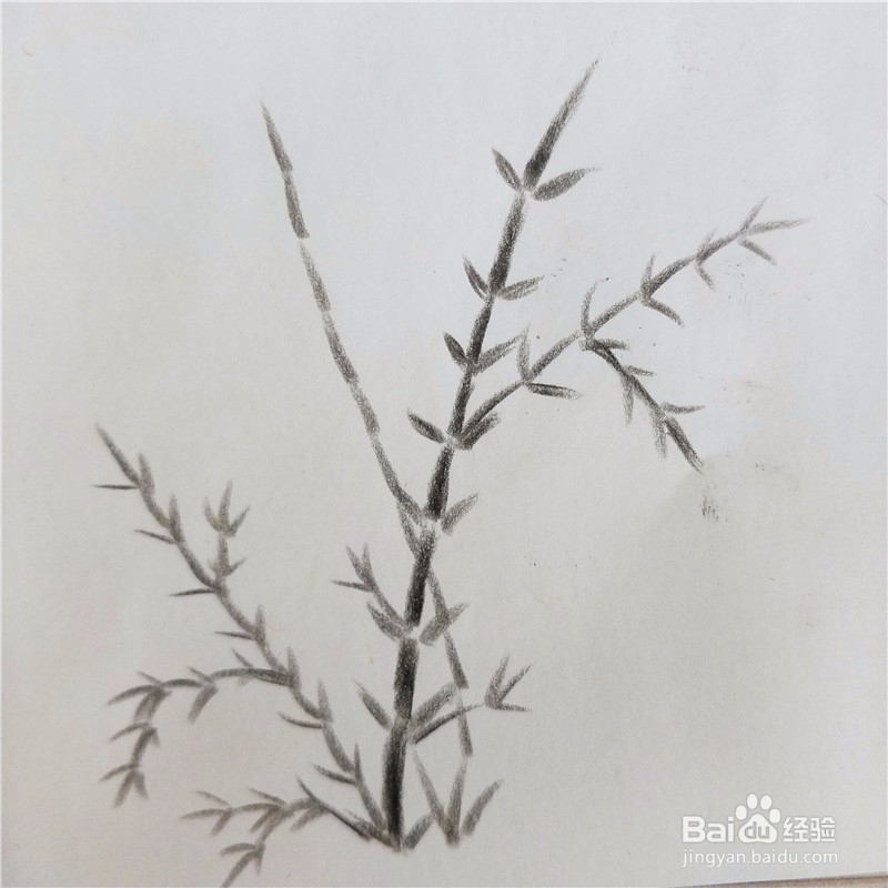 怎么画竹子的简笔画？