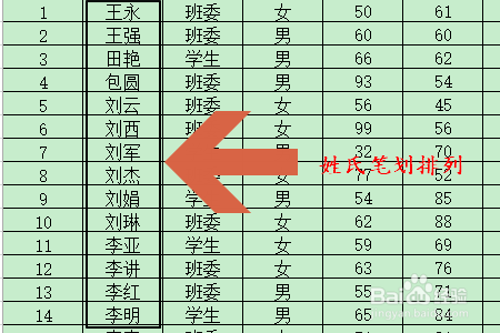 Excel表格如何让姓名按照姓氏笔划排序