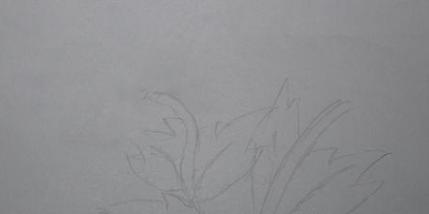 怎样画菊花的简笔画