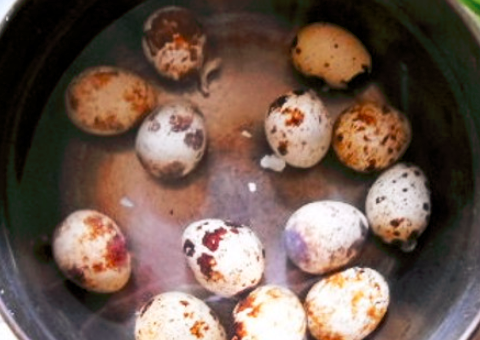 鹌鹑蛋能和白山药一起吃吗