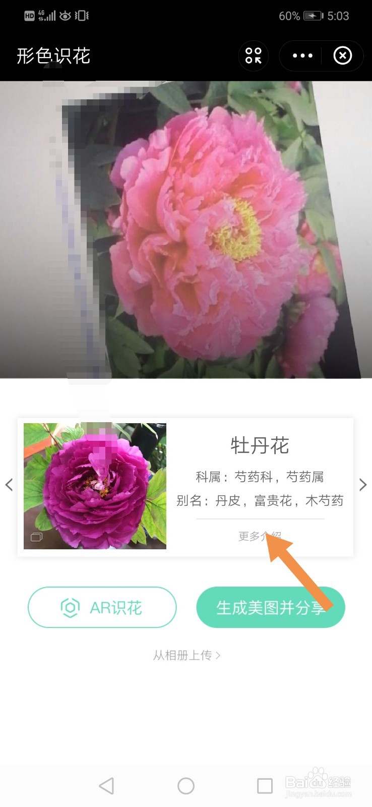支付宝怎么识别花草
