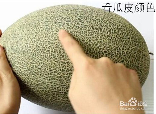 如何买到又香又甜的哈密瓜