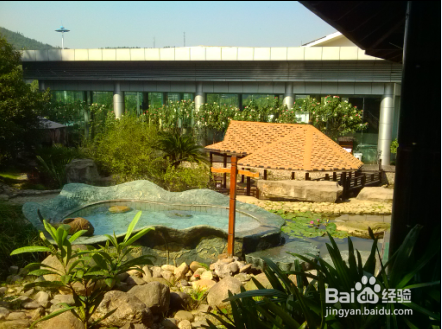 明月山、天沐温泉、武功山旅游攻略