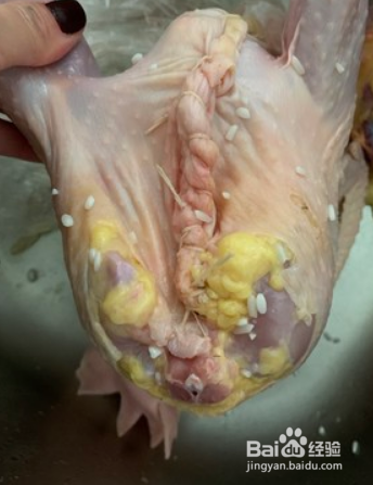 冬季进补参鸡汤