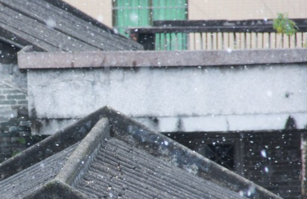 广州下雪是哪一年