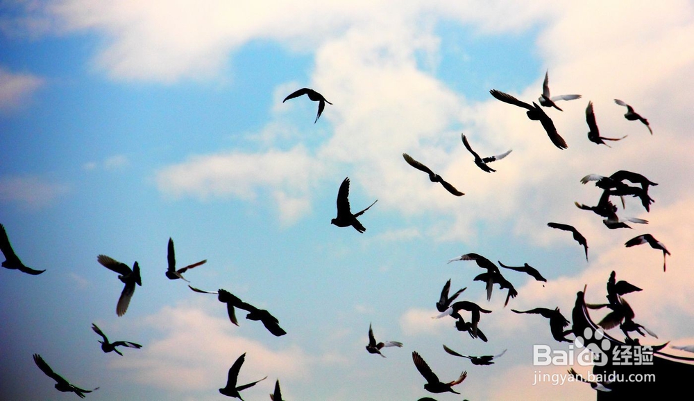 怎样保持身体更加健康