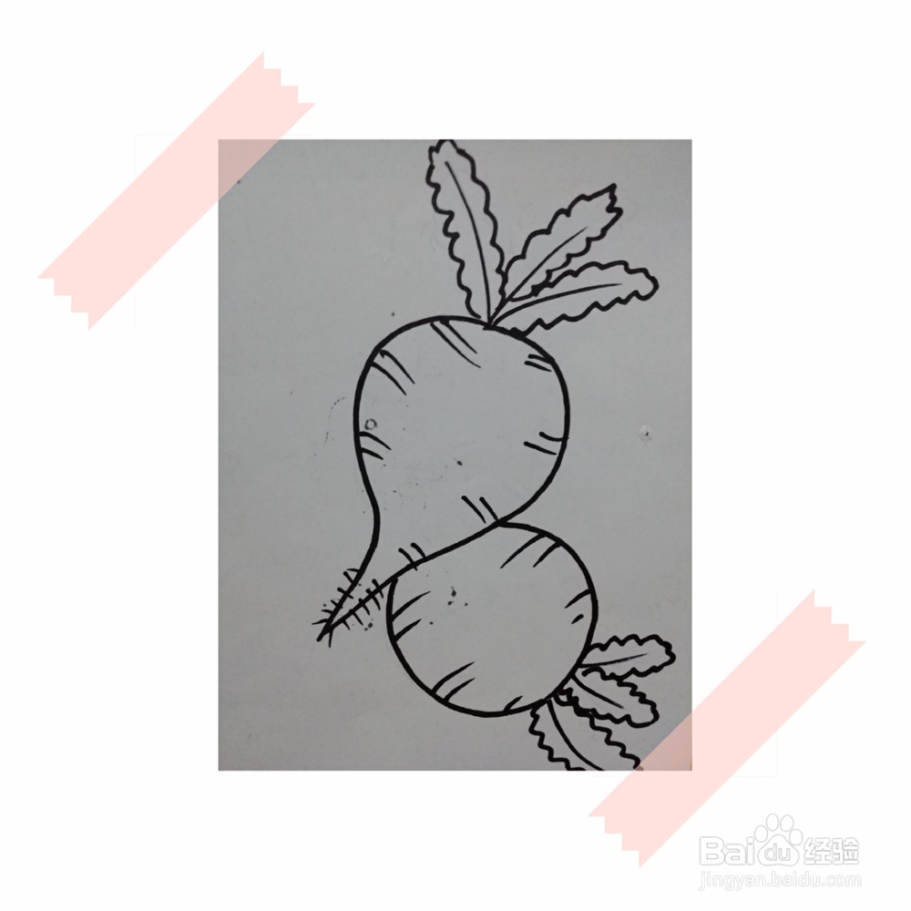 儿童简笔画教程画萝卜