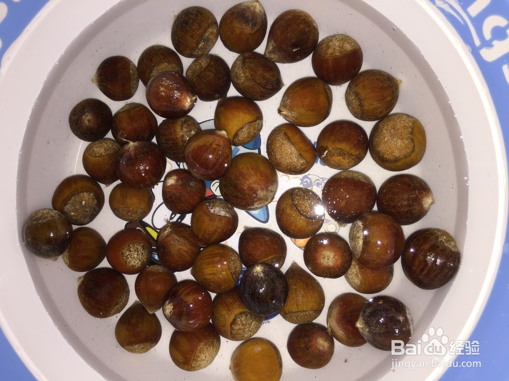 栗子煮多久可以熟