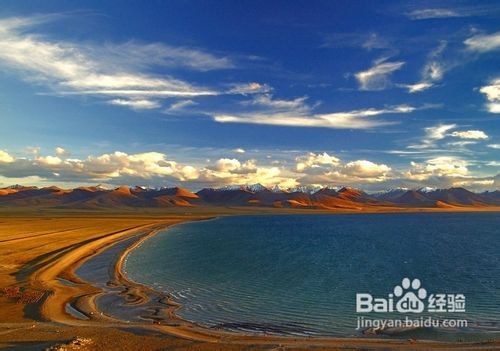 如何去西藏旅游？