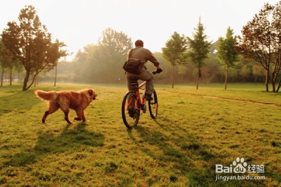怎么才能成功减肥呢