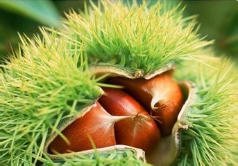 每天吃这些，什么美容和保健品都不用了（三）