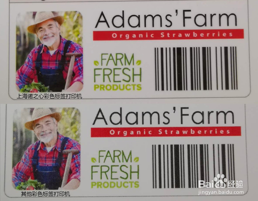 彩色标签打印机哪个好？