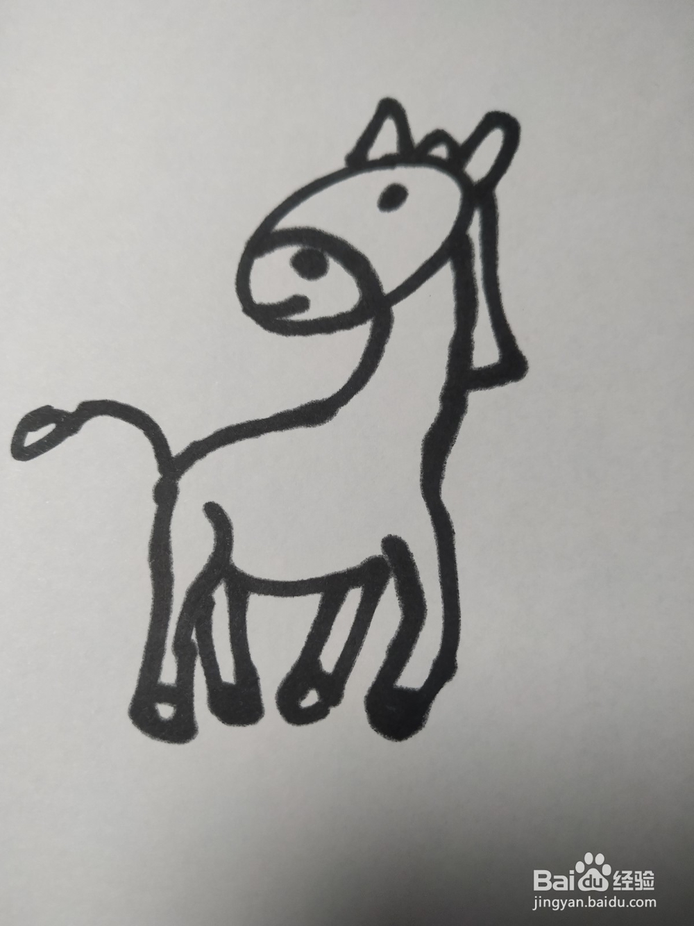 毛驴的简笔画技法3