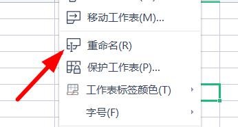 Excel如何更改工作表的名字#校园分享#