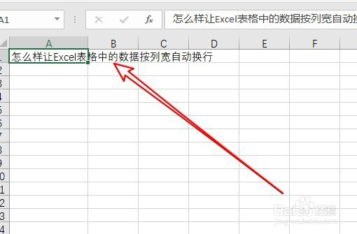 excel2019表格怎么样设置数据按列宽自动换行