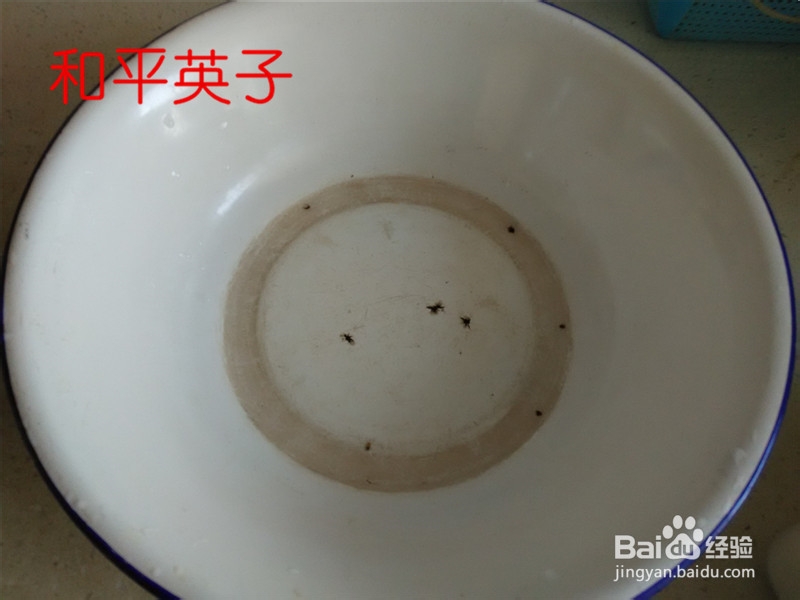 小点心南瓜烤米饼