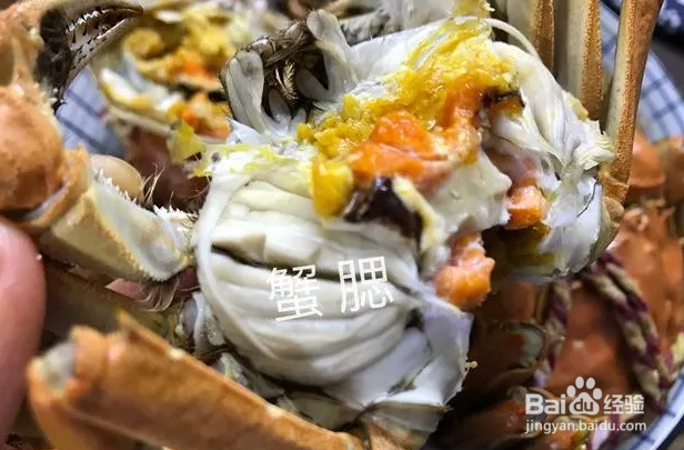 螃蟹哪几个地方千万不能吃?