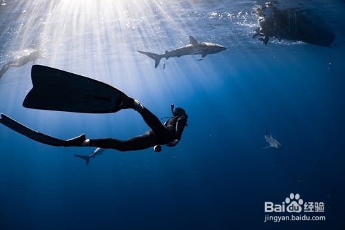怎样学游泳最快最好