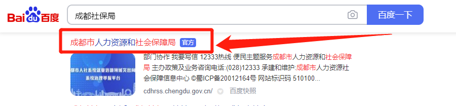 成都社保局怎么查缴费明细