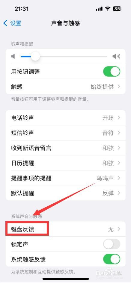 苹果手机打字怎么开启声音