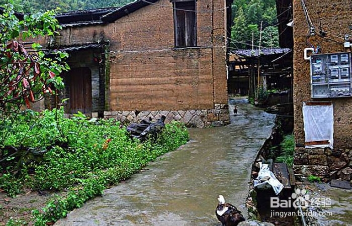 农村院落怎么收拾好看