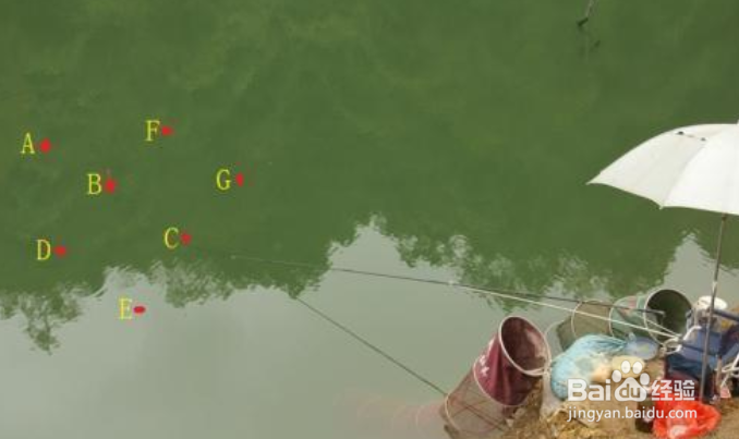 野钓手竿有哪些基本功要练习？