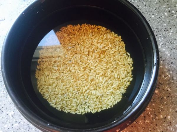莜麦玉米琉璃粥