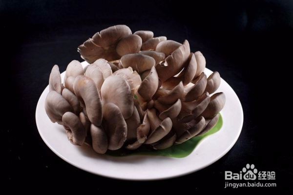 适合做菌菇汤的蘑菇有哪些