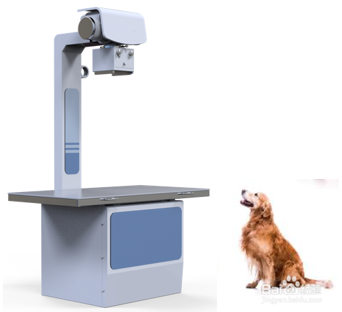 <b>宠物医院如何选择宠物数字X光机（宠物DR）</b>