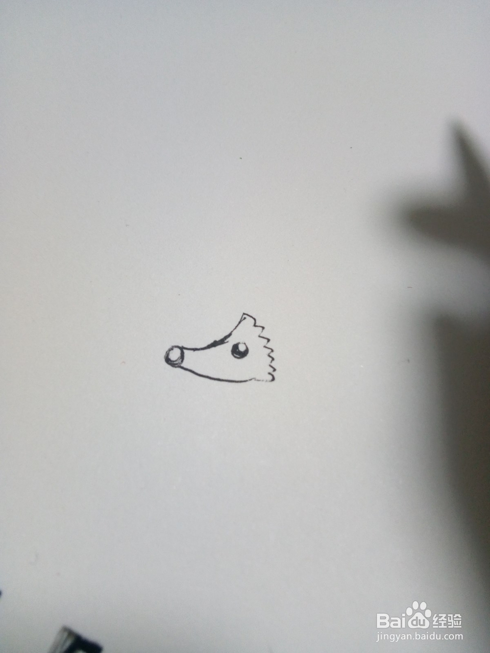 幼儿简笔画小刺猬