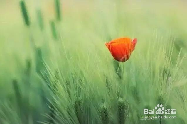 5个摄影小技巧，拍出碾压朋友圈的风光照！