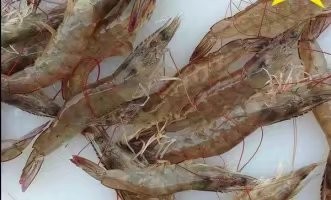 补肾妙招一吃就行