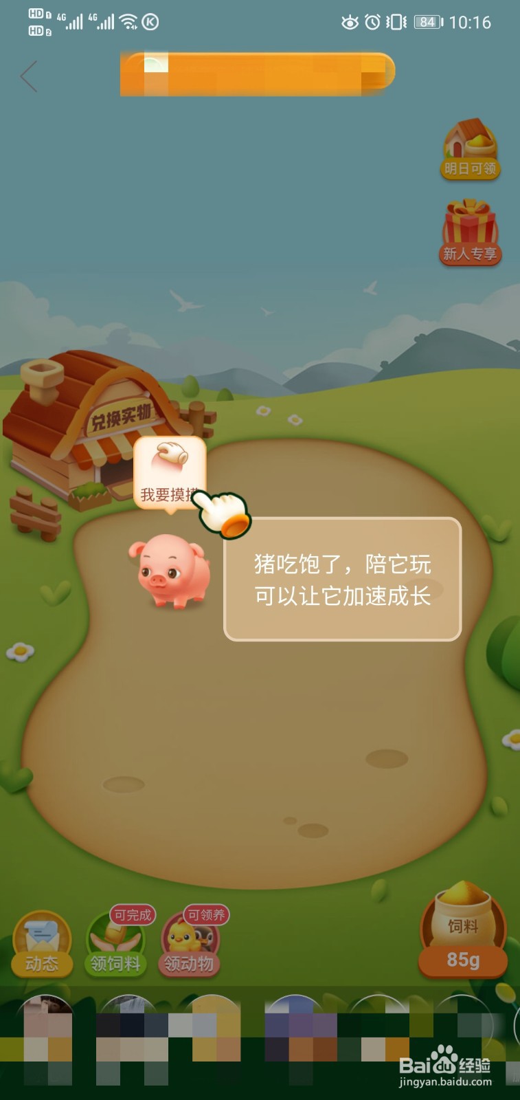 拼多多如何养猪