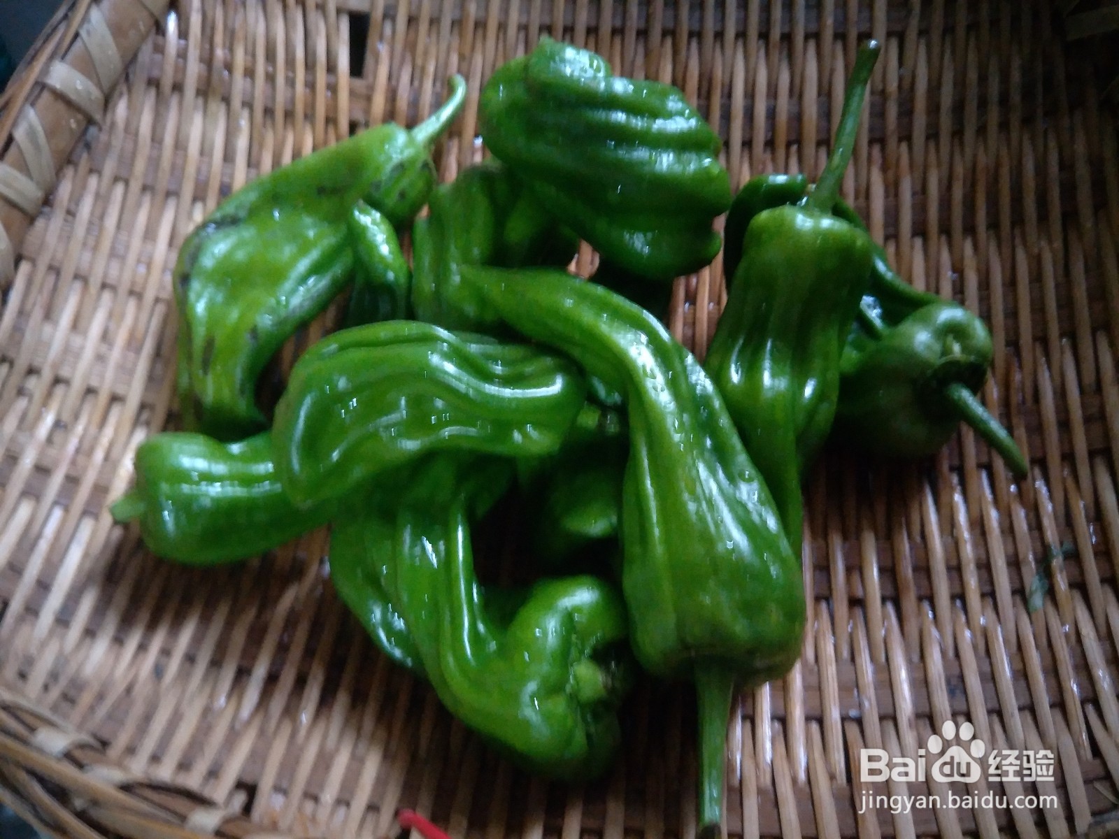 青椒炒肉怎么做