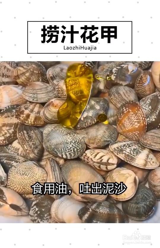 健康美味捞汁花甲