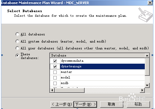 SQL Server 定时备份