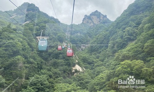 王顺山国家森林公园攻略