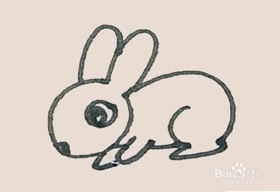伴儿成长简笔画系列-怎样画兔子简笔画