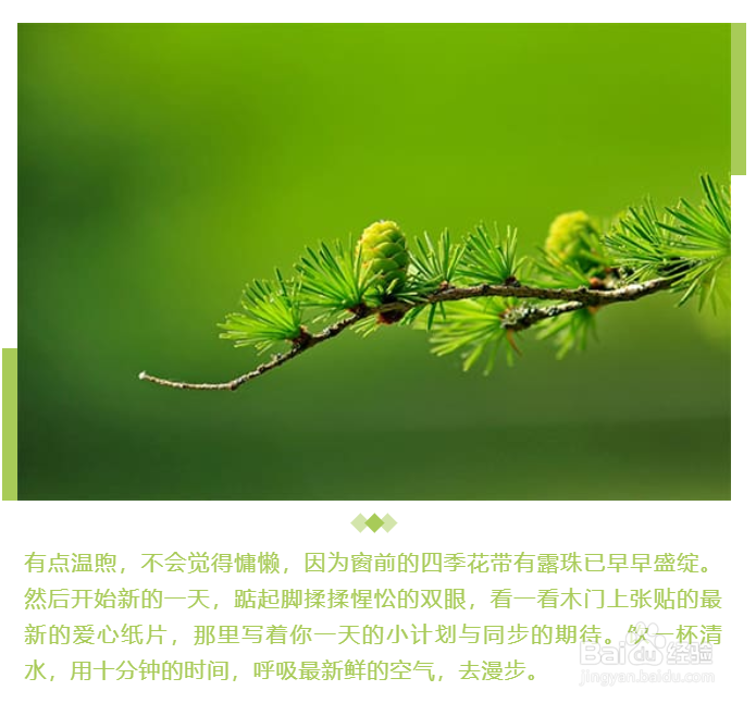 小清新风格的微信公众号图文怎样排版？