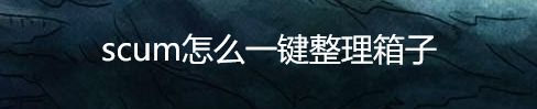 scum怎么一键整理箱子