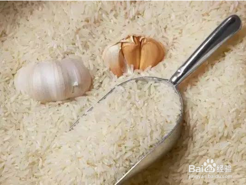 米长虫了怎么驱虫