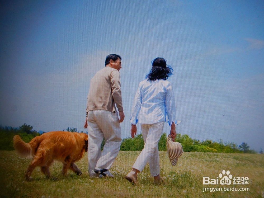 怎么样走路养生？