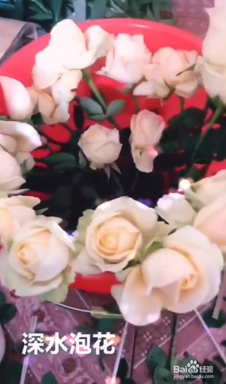 鲜切花醒花步骤