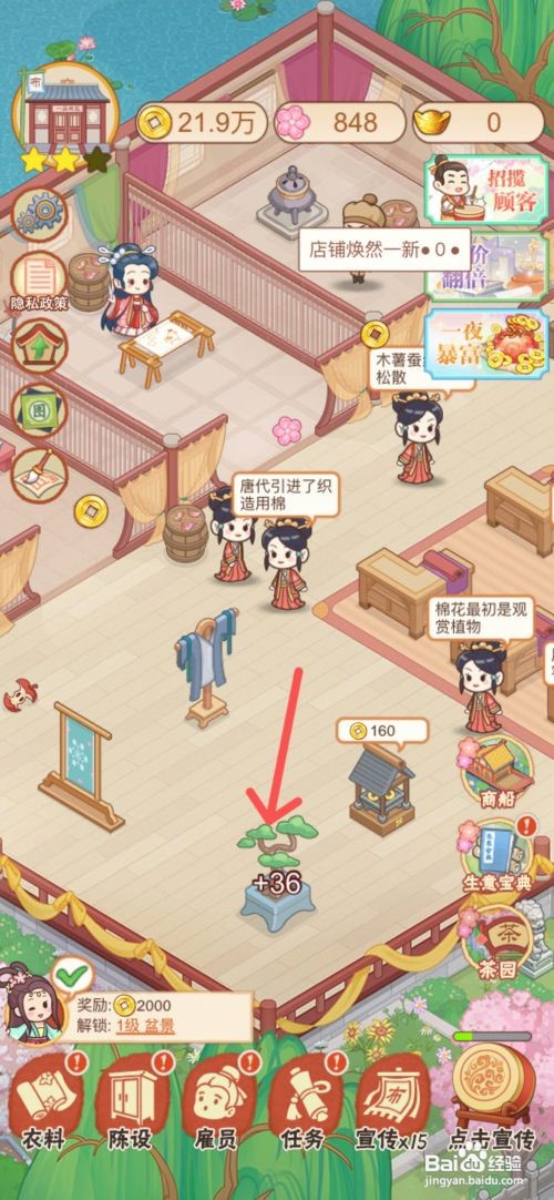 一品布庄中如何给店里摆设盆景
