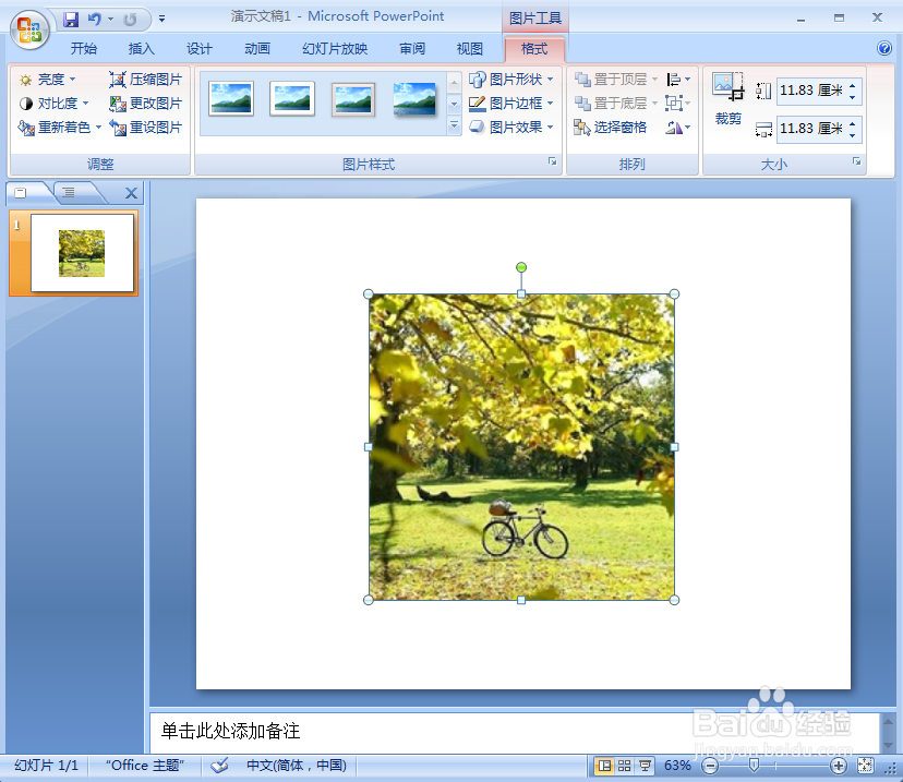如何在ppt中给图片添加泪滴形和阴影效果